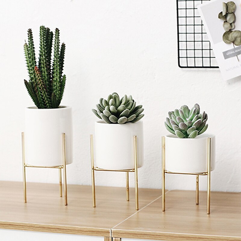Stylish ceramic pot