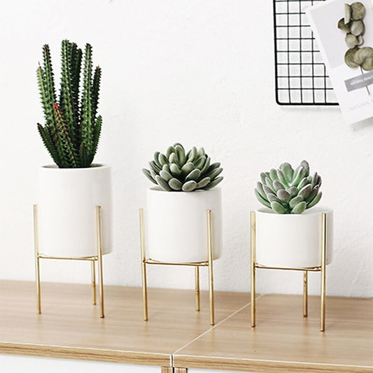 Stylish ceramic pot