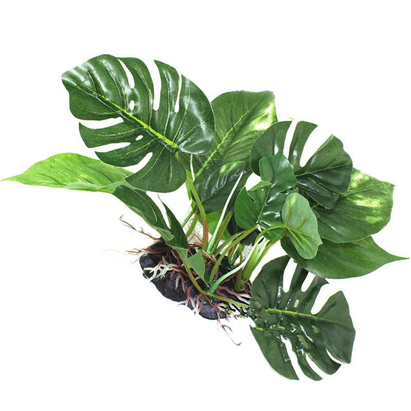 Suitable for a Reptile Box, Simulation Plant, Aquatic Plant, Simulation Ornaments Fish Tank Landscaping Ornamental Plants, Monstera, glass vase, no water required