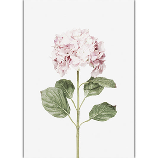 Nature as art, pink is classy,
Zen your space, indoor jungle vibe, simple elegance, tasteful nature, Cactus Art, 70’s vibe (BYO frame)