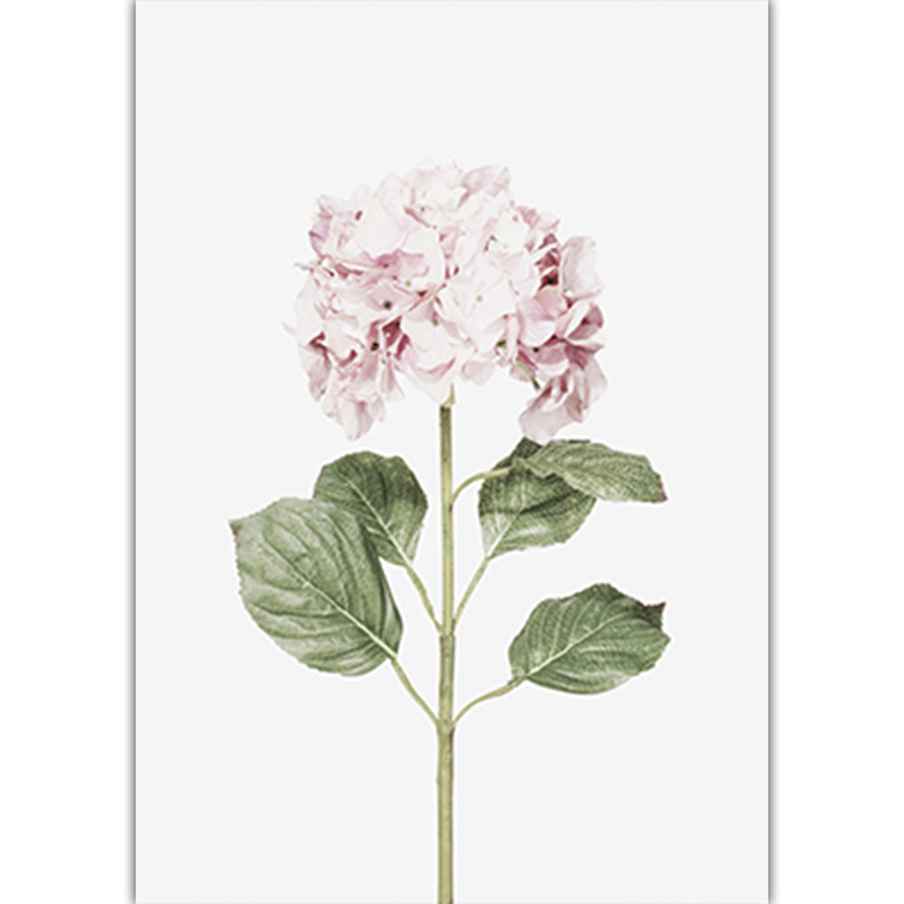 Nature as art, pink is classy,
Zen your space, indoor jungle vibe, simple elegance, tasteful nature, Cactus Art, 70’s vibe (BYO frame)