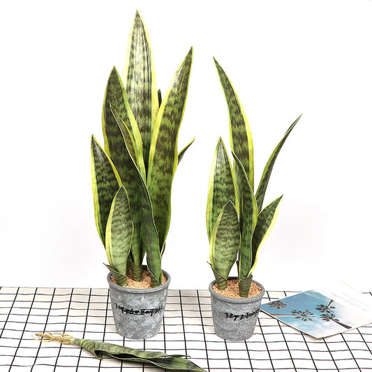 Mother in Law’s tongue, snake plant, Tiger Piran Plant,  Succulent, Artificial decor