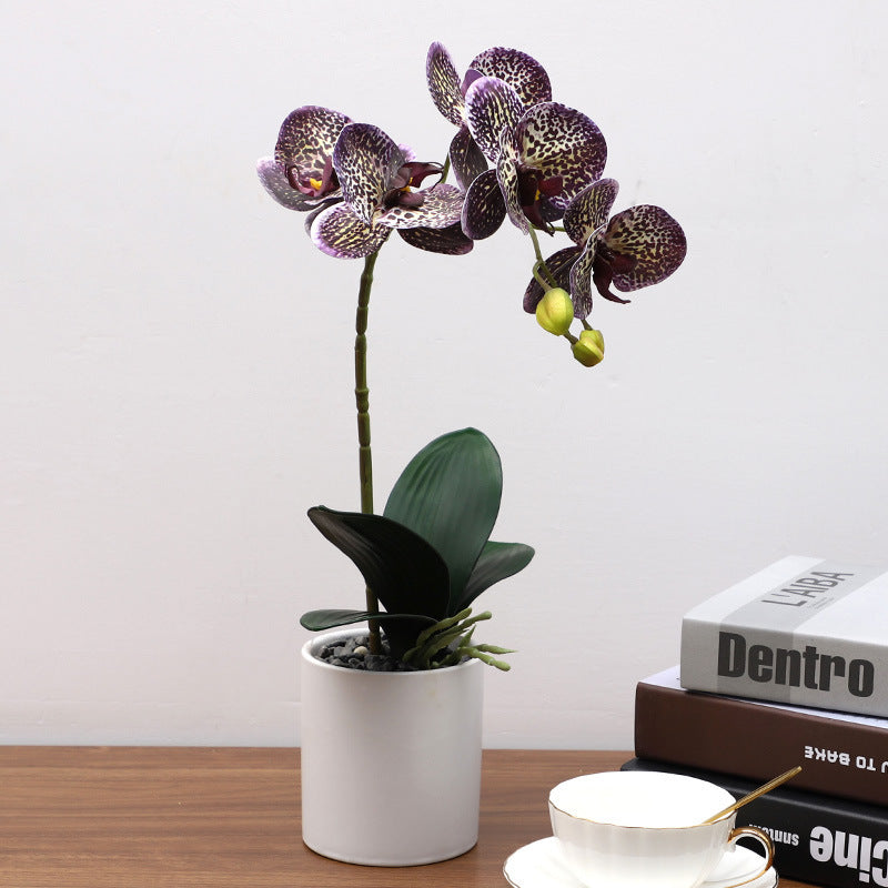 Orchid faux Plant, desk plant, Phalaenopsis Potted, Home elegance,  Living Room Decoration faux orchid