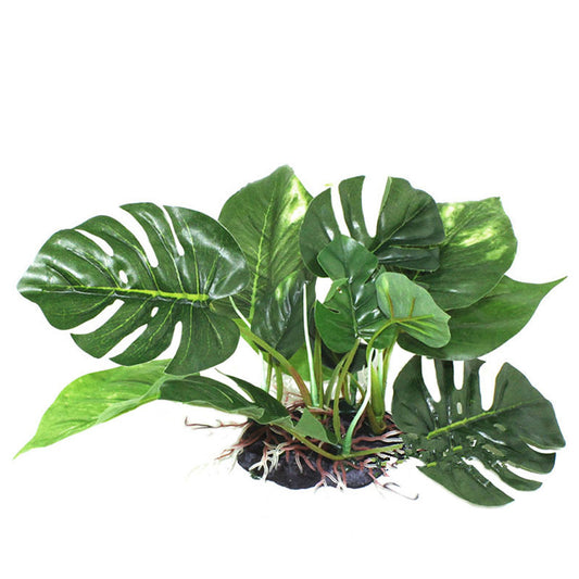 Suitable for a Reptile Box, Simulation Plant, Aquatic Plant, Simulation Ornaments Fish Tank Landscaping Ornamental Plants, Monstera, glass vase, no water required