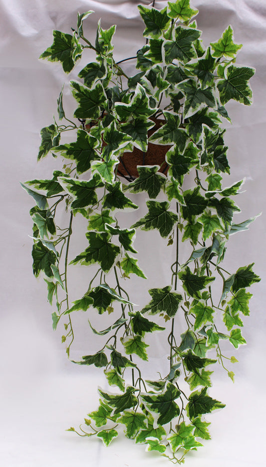 Simulation Green Ivy Plant,  Artificial White Edge Leaf,  faux wall hanging plant, decorative ivy