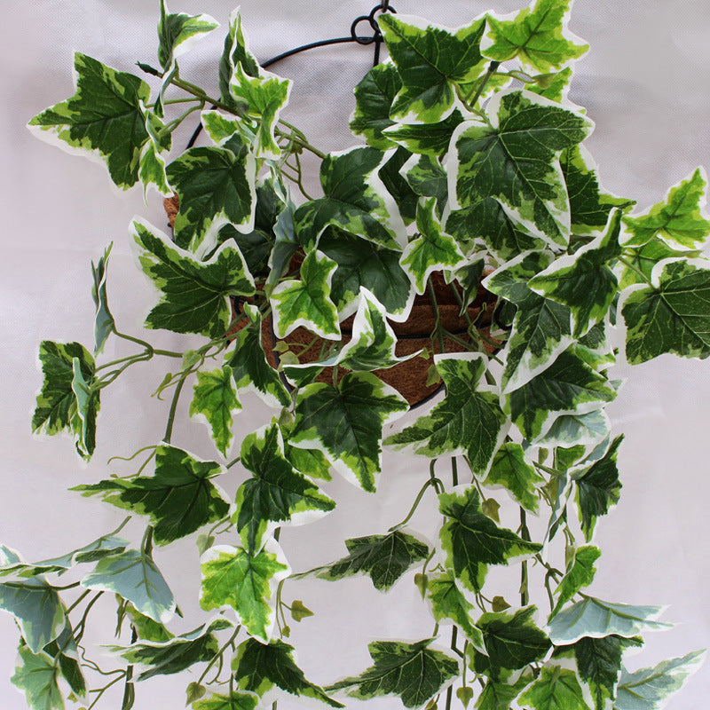 Simulation Green Ivy Plant,  Artificial White Edge Leaf,  faux wall hanging plant, decorative ivy