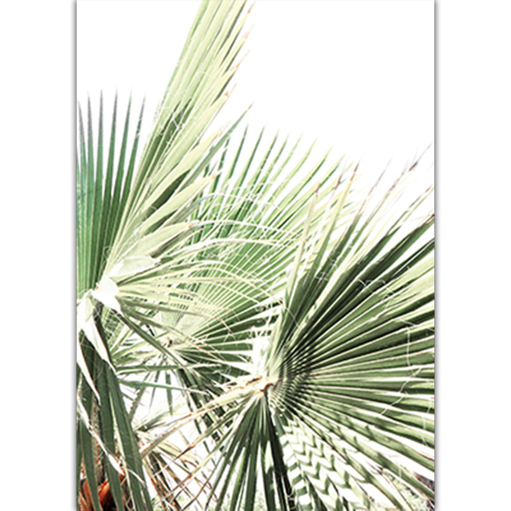 Nature as art, pink is classy,
Zen your space, indoor jungle vibe, simple elegance, tasteful nature, Cactus Art, 70’s vibe (BYO frame)