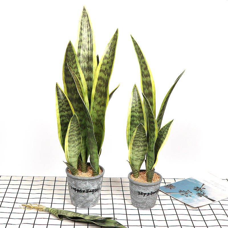 Mother in Law’s tongue, snake plant, Tiger Piran Plant,  Succulent, Artificial decor